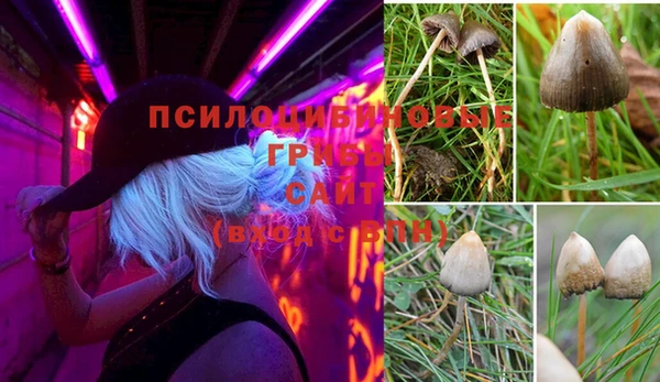 прущие крисы Алзамай