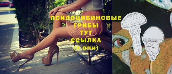 прущие крисы Алексеевка
