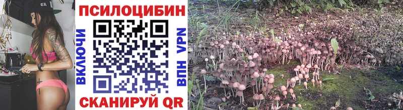 МЕГА вход  Удачный  Галлюциногенные грибы Psilocybine cubensis 